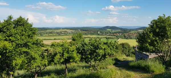 Tavasz a Pécselyi-medencében