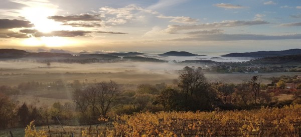 Napnyugta a Pécselyi-medencében