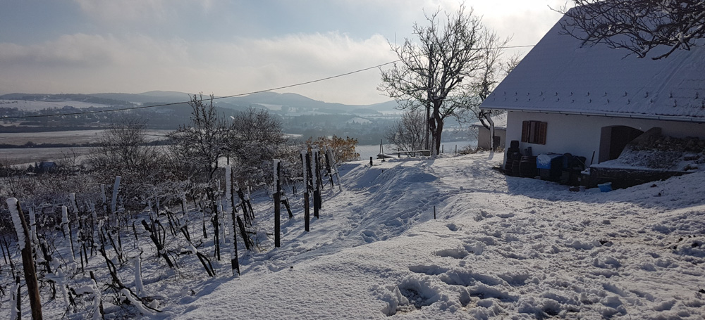 Panorámás présház télen